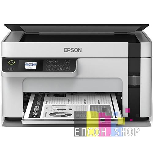 Img. Epson M2110